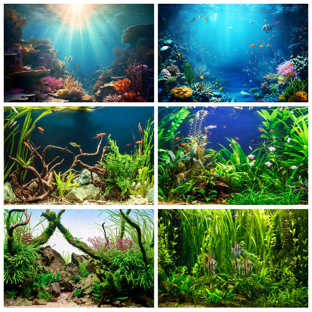 Aquarium Marine World - Onder Zee Zeebodem Wereld Fotografie Achtergrond