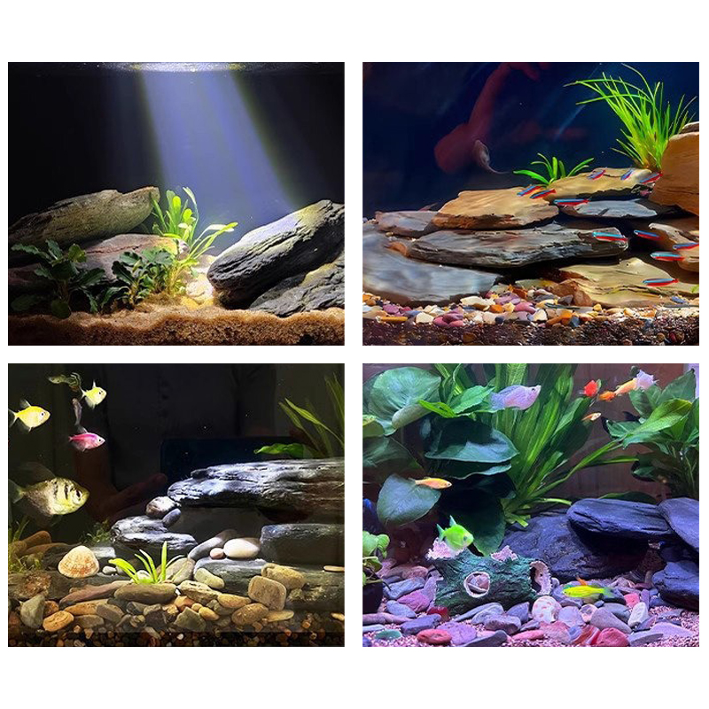 500/1000g Aquarium Landschap S - Marine Fish Tank recensie en prijs
