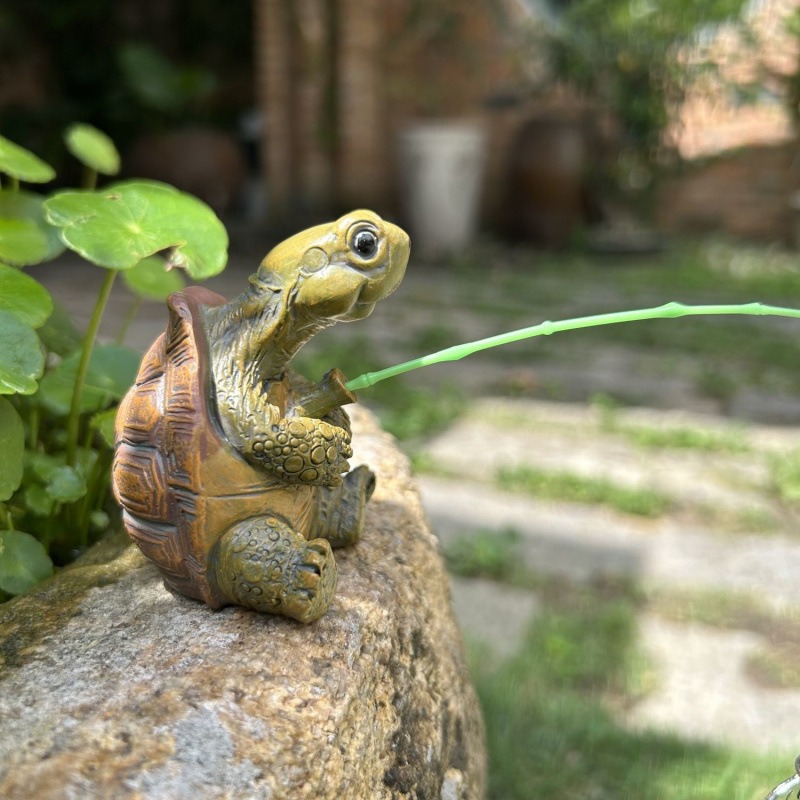 Schildpadvissen, aquariumdecor - Marine Fish Tank recensie en prijs