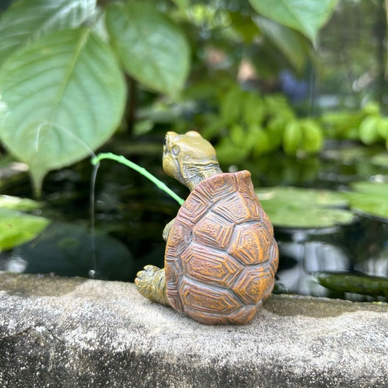 Schildpadvissen, aquariumdecor - Marine Fish Tank recensie en prijs