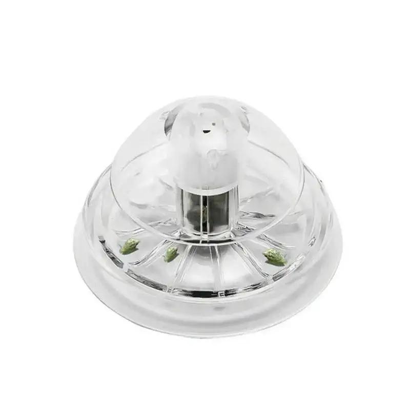 2026 Nieuwe 6/8CM Transparante - Ocean Aquarium recensie en prijs