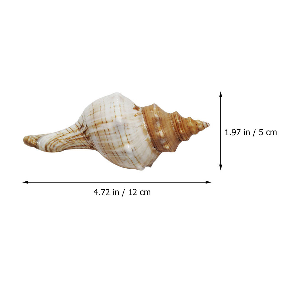 Decoratieve schelp voor aquari - Marine Fish Tank recensie en prijs