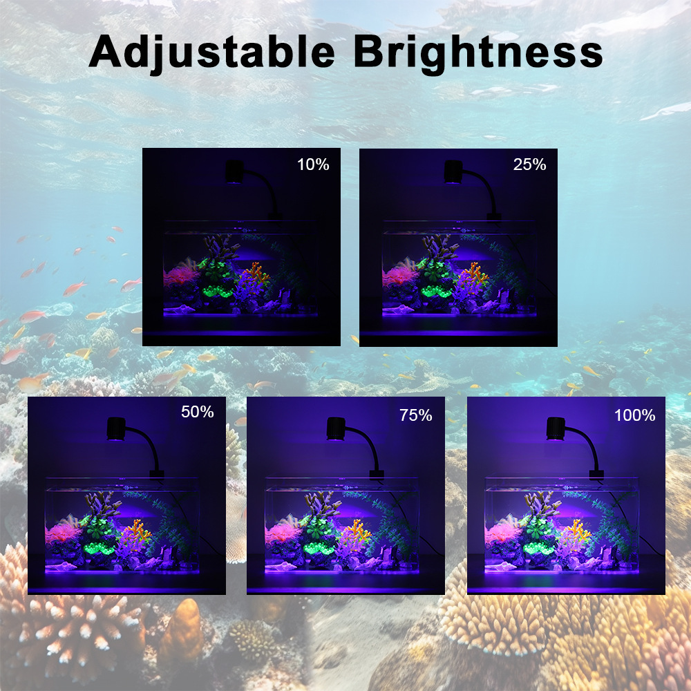 LED Aquariumverlichting Volspe - Reef Lighting recensie en prijs