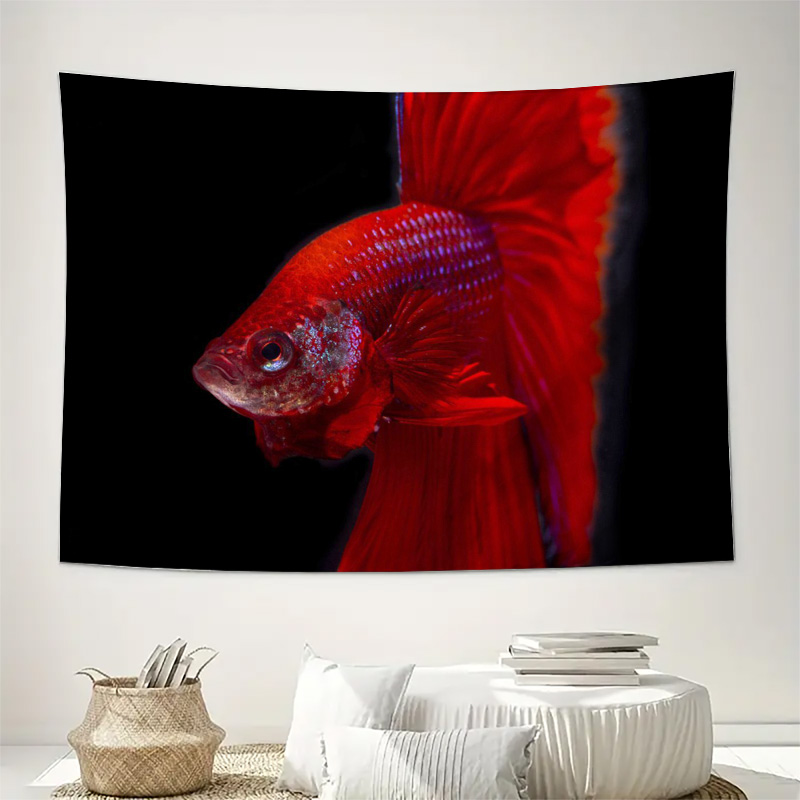 Levendige rode Betta Fish Tape - Ocean Aquarium recensie en prijs